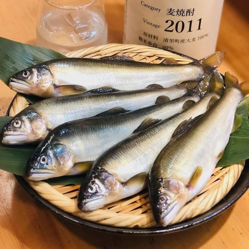 鮎塩焼き
