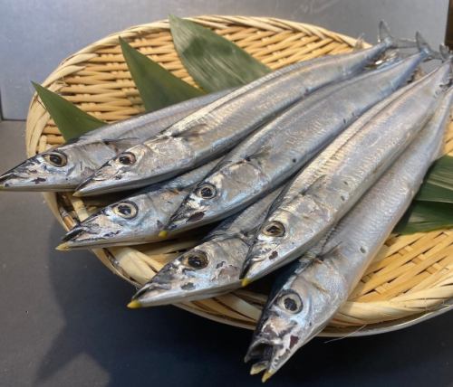 根室より秋刀魚