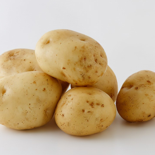 2日間かけてじっくり仕込んだ【フライドポテト】まさに一度食べたら忘れられない絶品です。