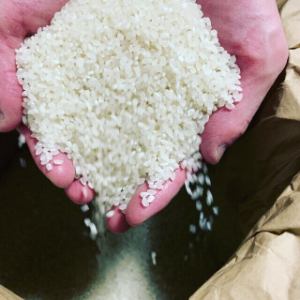 ※リゾットは玄米に近い8~7部精米でご提供致します。