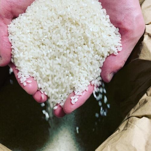 ※リゾットは玄米に近い8~7部精米でご提供致します。