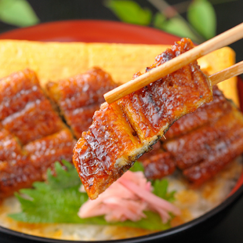 鰻たま丼 半尾