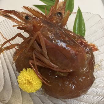 坎詹苏
