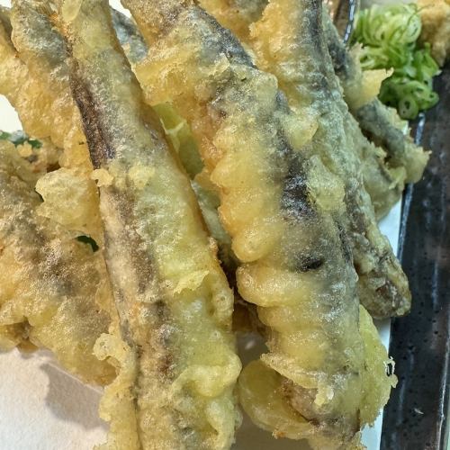 广岛特产沙丁鱼天妇罗