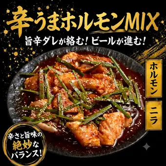 辛うまホルモンM IX