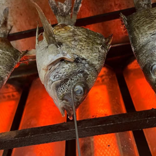 盡情享受山陰地區的物產。