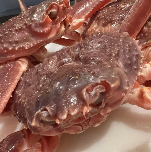 使用當地食材,享受一段奢華時光