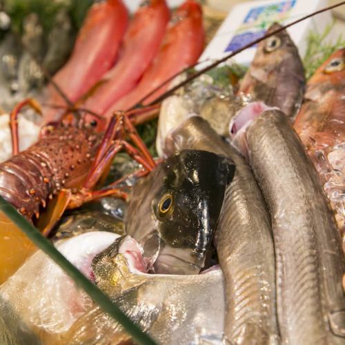 日替わりの鮮魚たち