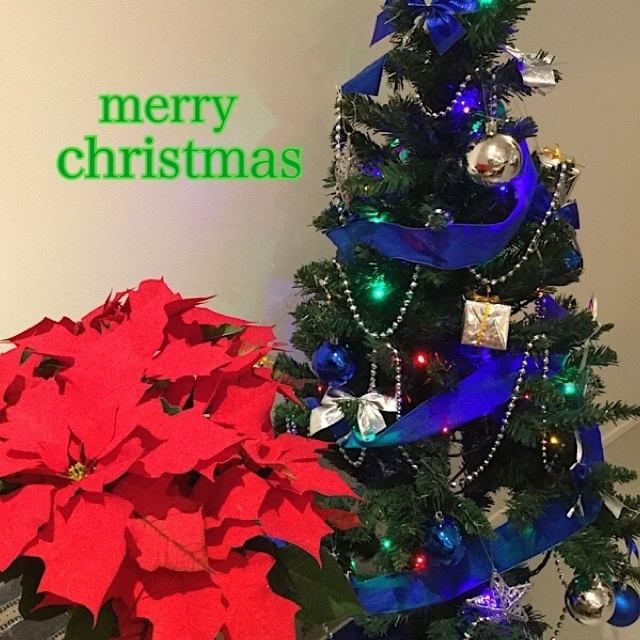 今年のクリスマスは大切な人と最高の思い出を♪