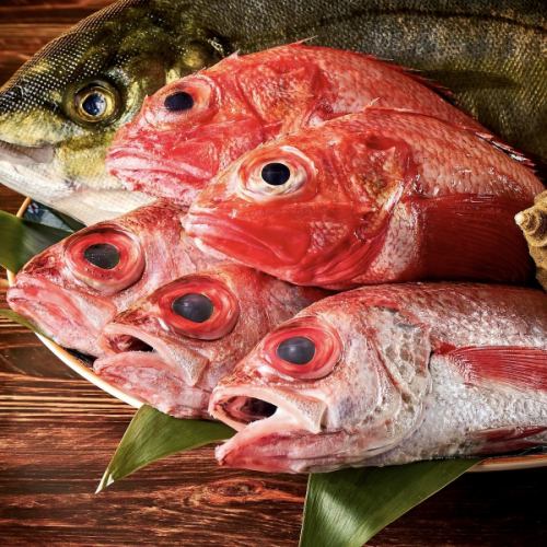産地と質にこだわった旬魚