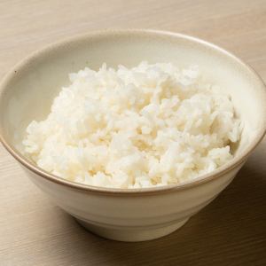 Rice (Regular/Large +110 yen tax included)