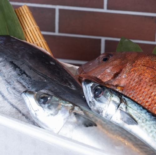 産地直送の鮮魚