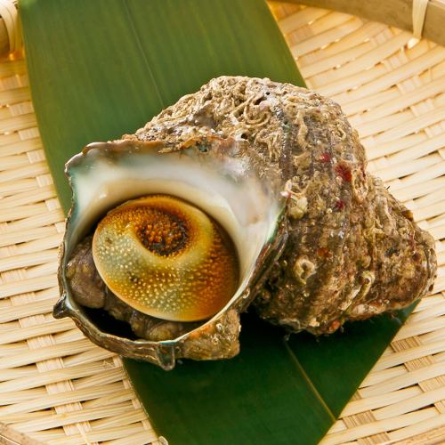 活サザエの壷焼 1個／活ホッキ貝の殻焼　各