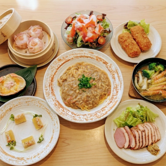 ライトプラン