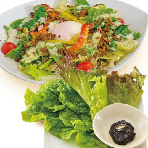 Choregi Salad / Refreshing Plum Radish Salad