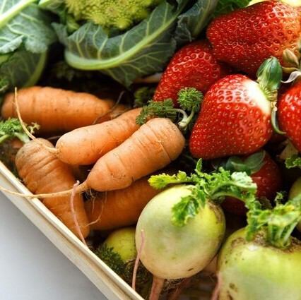 農家さん直送のお野菜をふんだんに使ったコース料理