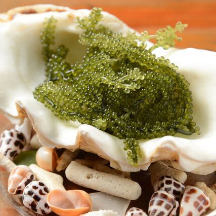 沖縄直送「プチプチ海ブドウ」