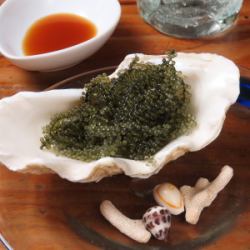 プチプチ海ブドウ