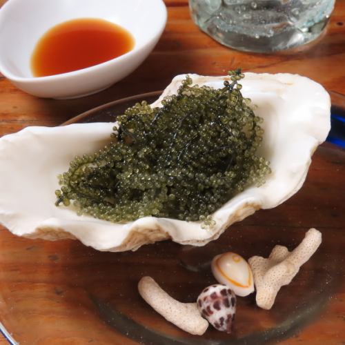 プチプチ海ブドウ