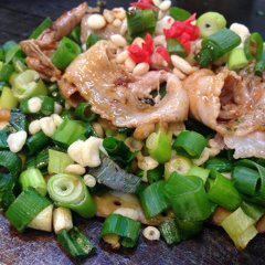 Grilled green onion, pork / squid / shrimp