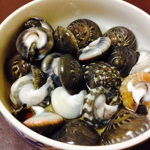 季節性貝類燒烤，貝類生魚片，蒸貝類