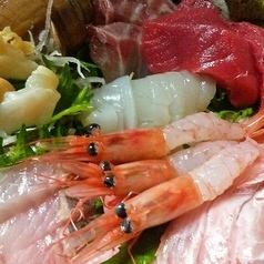 Assortment of today's sashimi for 1 serving