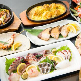 天草でとれる新鮮な魚をご提供◎旬魚の刺身や鯛茶漬けも絶品♪