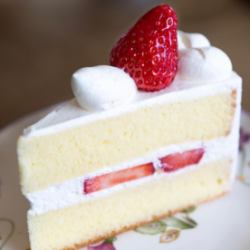 Shortcake