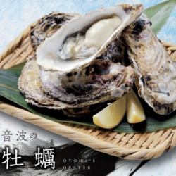 [True oysters] In season from September to April [Iwa oysters] In season from May to August