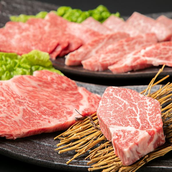 その日一番を楽しむ！特選おまかせ6種・9種