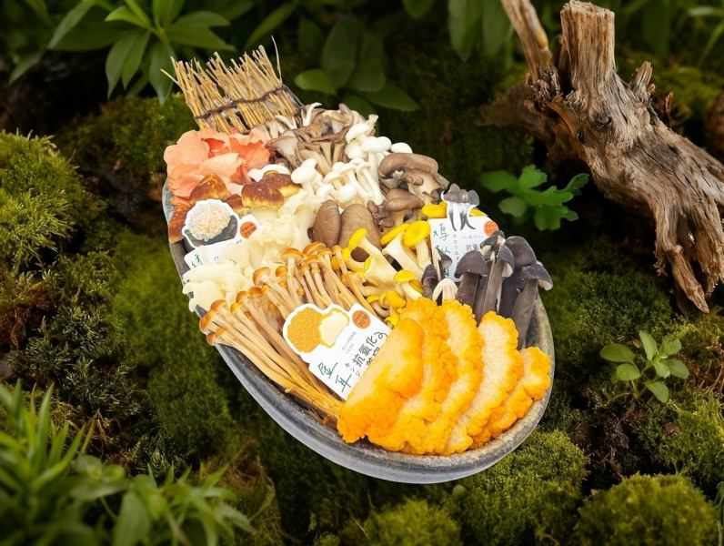 お肉はもちろん、ここでしか味わえない種類豊富な野菜・海鮮も豊富♪