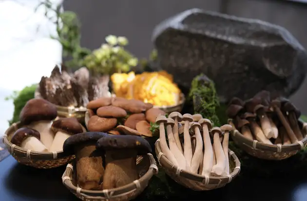 ボウテンザン 酸湯養生 上野店【公式】