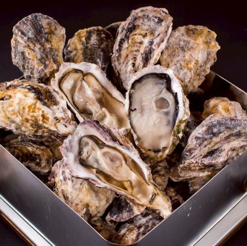 Grilled oysters