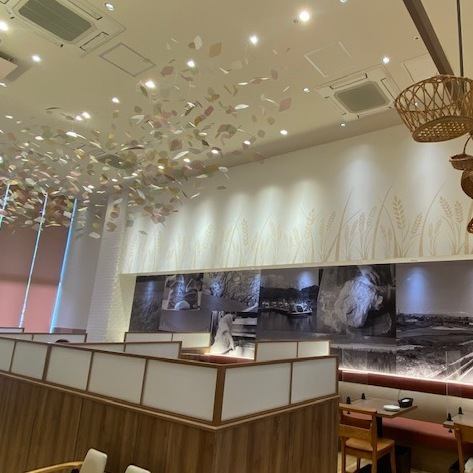大きな窓から降り注ぐあたたかい光で優しく照らされた広々とした店内。開放的空間で大切な方との素敵な時間をお過ごしください。ゆったりとしたアトリエのような空間で焼き立てパンとお料理をお楽しみいただけます。
