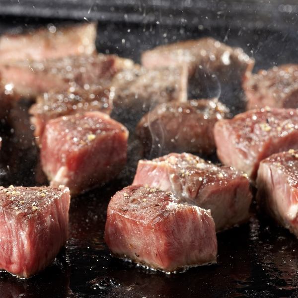 삿포로 블랙 라벨 / 에비스 프리미엄 블랙 / 라거 맥주 적성