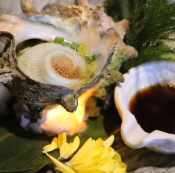 Pot-grilled live turban shell
