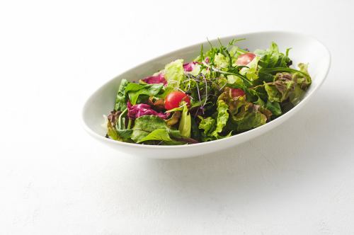 garden salad regular