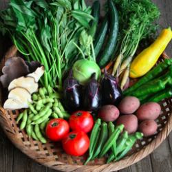 Freshly sourced vegetables every morning!