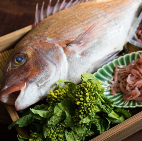 新鮮鮮魚のお刺身盛り合わせ、旬の味覚を贅沢に堪能