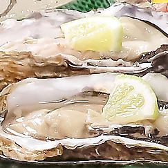 岩手縣三陸市的生牡蠣
