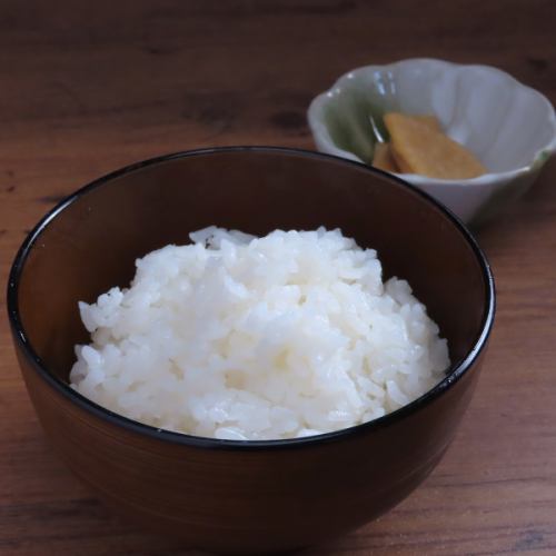 しろごはん
