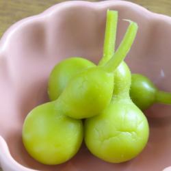 ひょうたん/板わさ