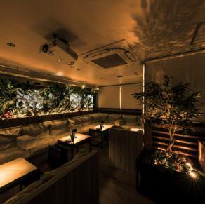 Our slightly luxurious sofa seating for 5 is perfect for girls' nights out or anniversaries with close friends! The spacious area allows you to relax and create a special atmosphere. It's also ideal for celebratory plates and surprises, ensuring you have a memorable time♪