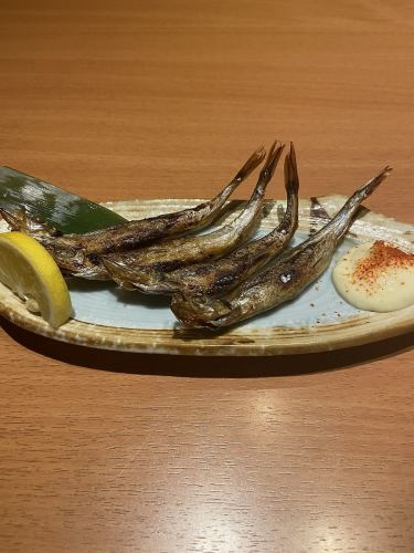 Grilled Shishamo