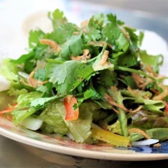 coriander fresh green salad