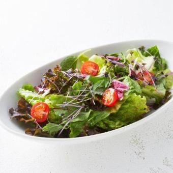 garden salad regular