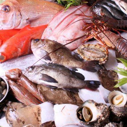 日～木限定【鮮魚お刺身、ど魚三昧コース】一番人気！市場から直送！2H飲放付 7品 4000円(税込)