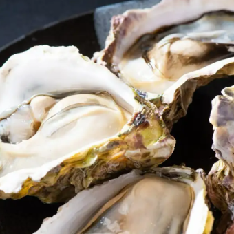 本日の厳選 生牡蠣（産地はその日によって変わります）