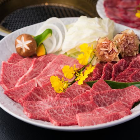 【3~4분을 위한】특상 큰 모듬 세트〈500g〉