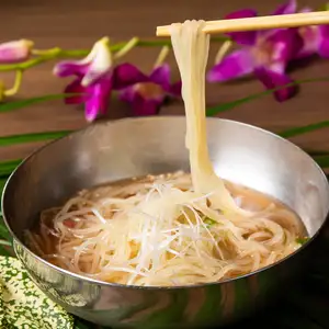 Plum Cold Noodles